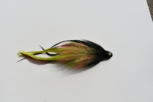 XL T-Bone